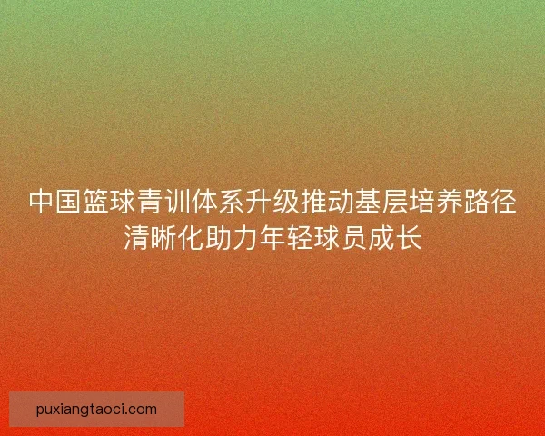 中国篮球青训体系升级推动基层培养路径清晰化助力年轻球员成长