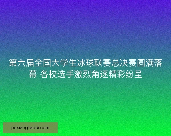 第六届全国大学生冰球联赛总决赛圆满落幕 各校选手激烈角逐精彩纷呈