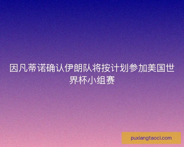 因凡蒂诺确认伊朗队将按计划参加美国世界杯小组赛